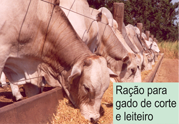 sumplegadocapa.fw